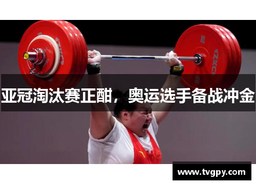 亚冠淘汰赛正酣，奥运选手备战冲金