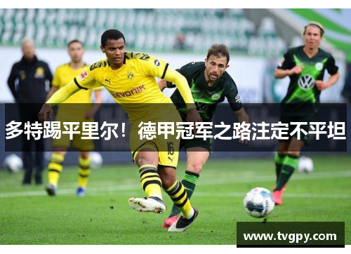 多特踢平里尔！德甲冠军之路注定不平坦