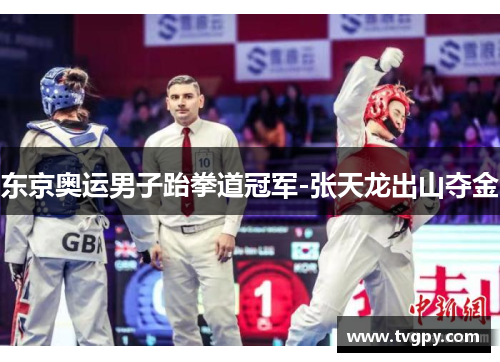 东京奥运男子跆拳道冠军-张天龙出山夺金