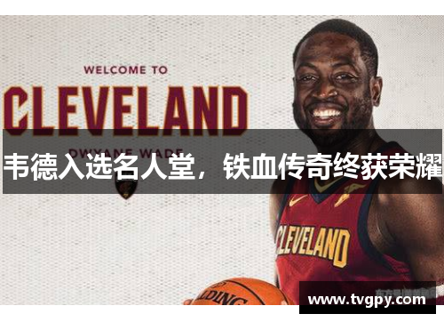 韦德入选名人堂，铁血传奇终获荣耀